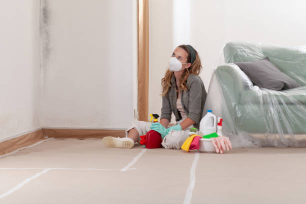 Reliable Mold Remediation contractor in North Merrick, NY by 24 Hour Mold Removal